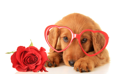 image for Valentine’s Day Sweets and Treats